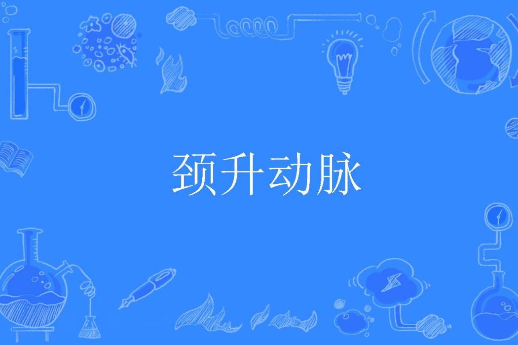頸升動脈 頸升動脈
