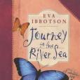 Journey to the River Sea(2008年Macmillan Children's Books出版的圖書) Journey to the River Sea(2008年Macmillan Children's Books出版的圖書)