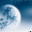 月隱(小說) 月隱(小說)