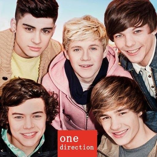 They Don\x27t Know About Us(One Direction演唱歌曲)