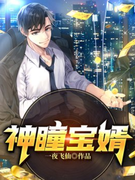 神瞳寶婿 神瞳寶婿
