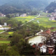 小龍村(雲南省蘭坪白族普米族自治縣中排鄉小龍村) 小龍村(雲南省蘭坪白族普米族自治縣中排鄉小龍村)