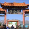 楊莊村(安徽省蕭縣閆集鎮楊莊村)