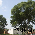 下坑國小 下坑國小