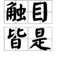 觸目皆是 觸目皆是