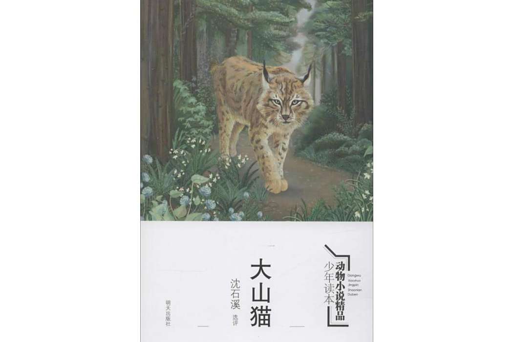 大山貓(2015年明天出版社出版的圖書) 大山貓(2015年明天出版社出版的圖書)