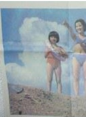 瑤淼