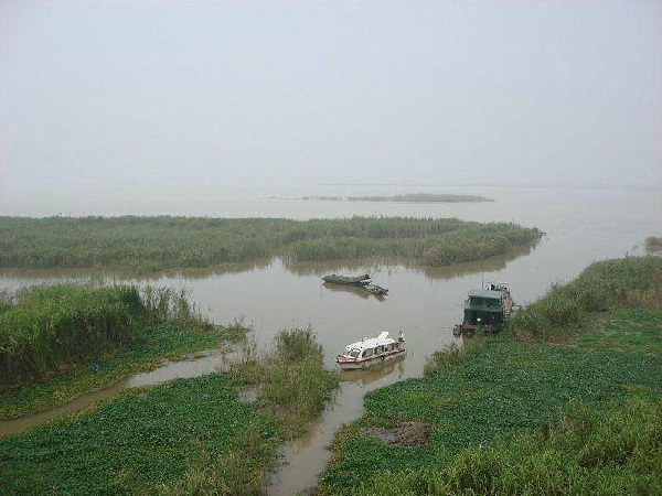 南洞庭湖草龜中華鱉國家級水產種質資源保護區