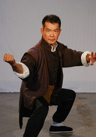 十二金錢鏢(2012年陳鍵鋒、元彪、陶昕然主演電視劇)