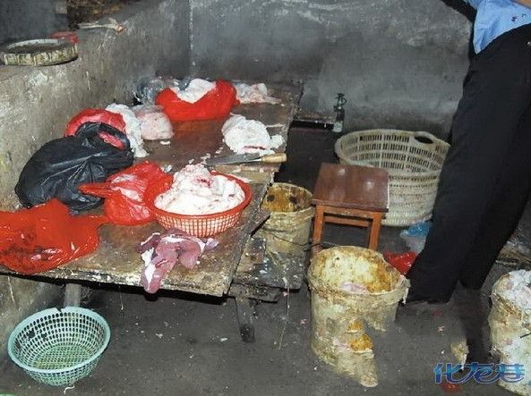 毒豬油 毒豬油