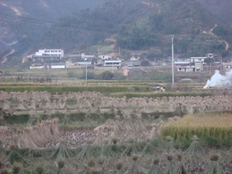 戶有村 戶有村
