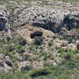 瓦哈卡州中央谷地的亞古爾與米特拉史前洞穴