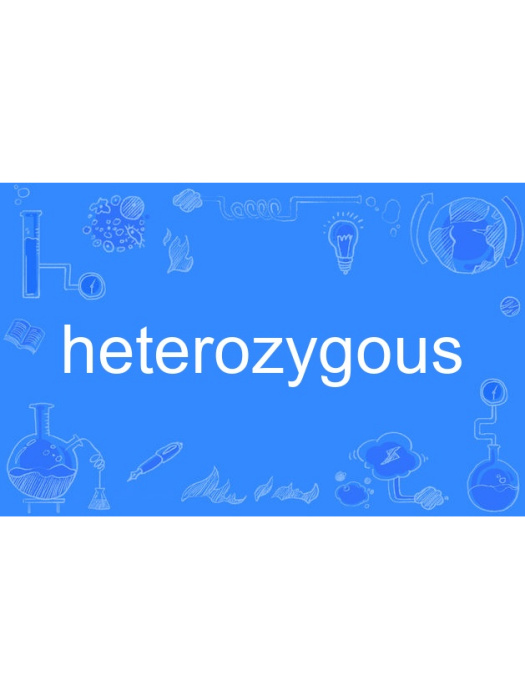 heterozygous heterozygous