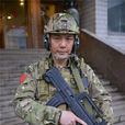 陳應天(《特種兵之火鳳凰》角色) 陳應天(《特種兵之火鳳凰》角色)