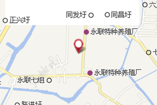東華大隊 東華大隊