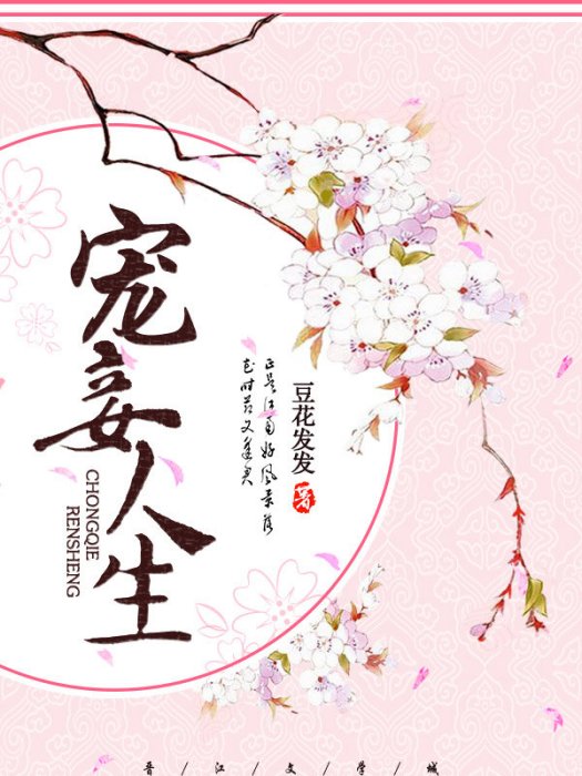 寵妾人生 寵妾人生