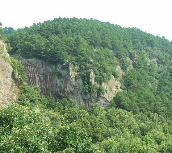 浮山國家森林公園自然風光