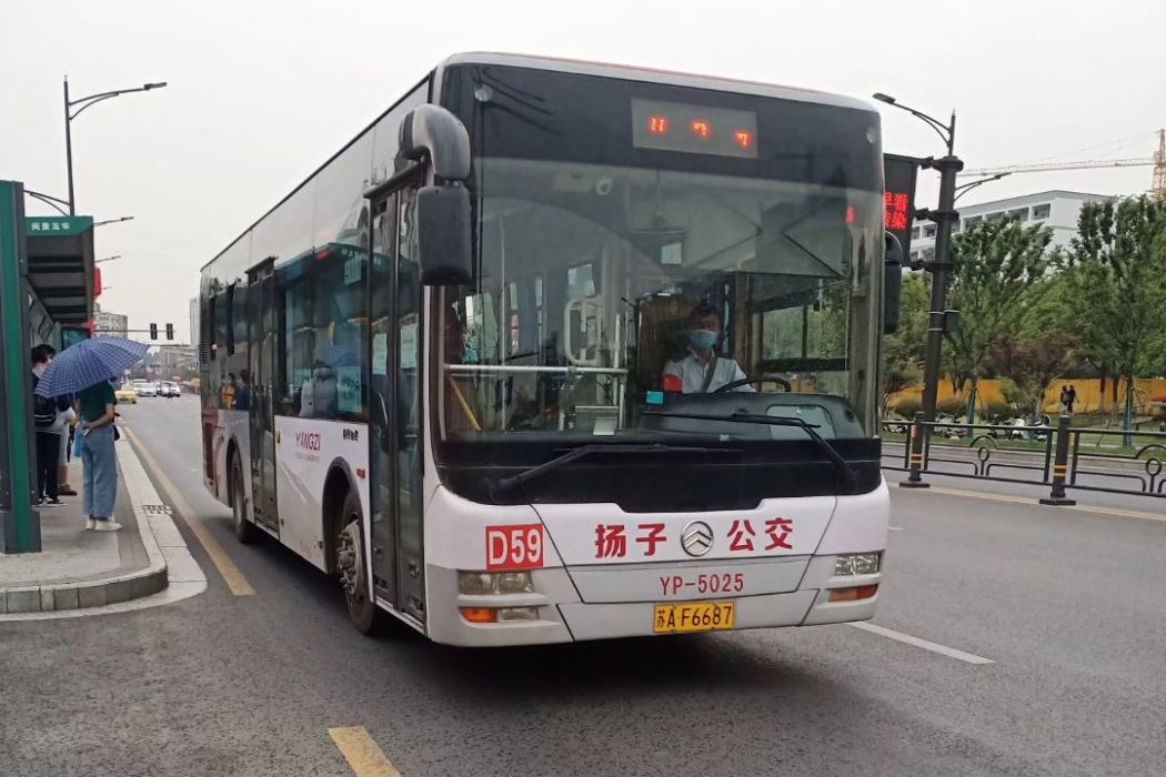 南京公交D59路 南京公交D59路