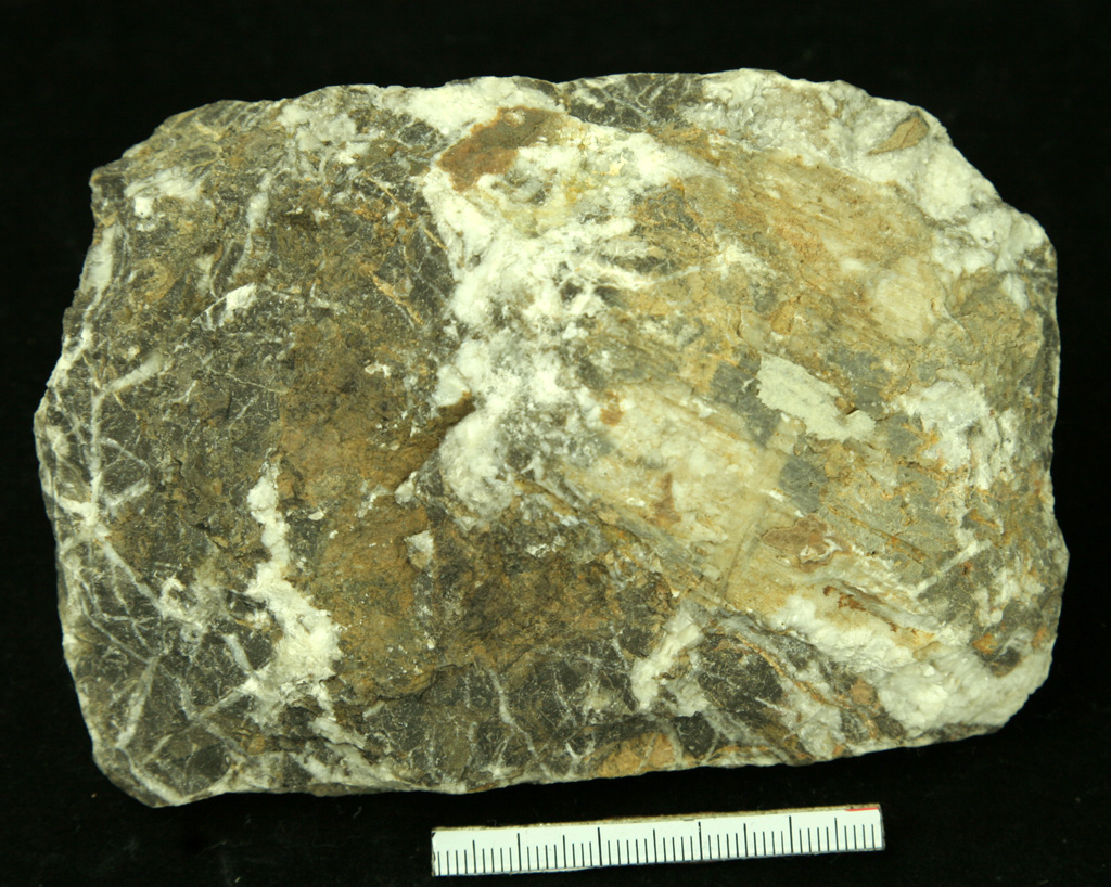 中國地質博物館石灰岩藏品圖片（一）