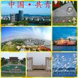 共青城(中國江西省九江市下轄的縣級市)