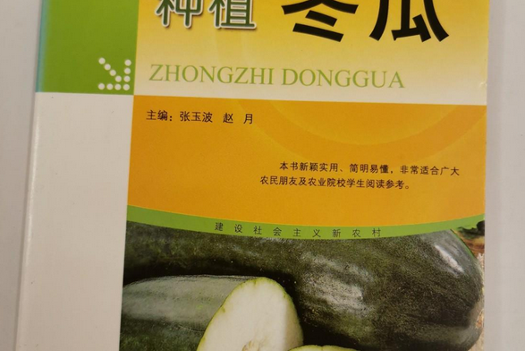 種植冬瓜 種植冬瓜