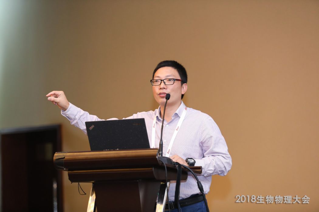高尚邦 高尚邦