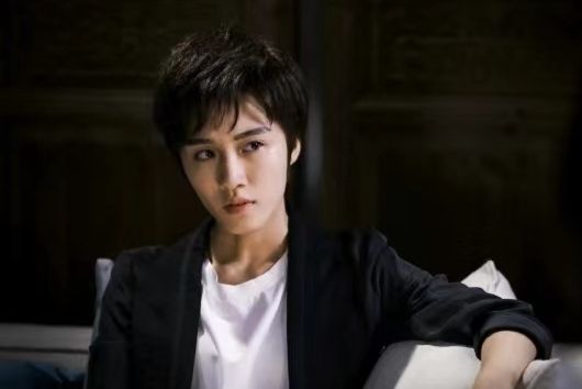 何安心(情感懸疑劇《危險的她》中的女性角色) 何安心(情感懸疑劇《危險的她》中的女性角色)