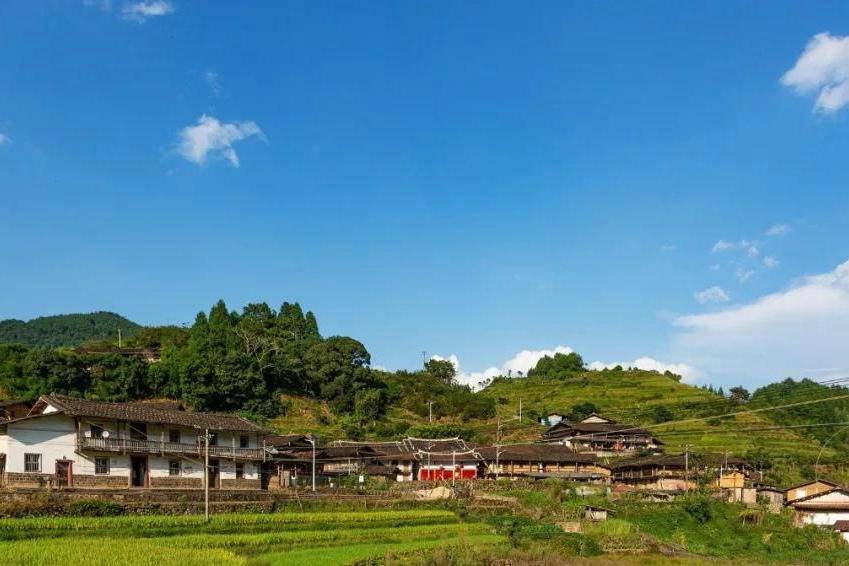 頂東湖村 頂東湖村