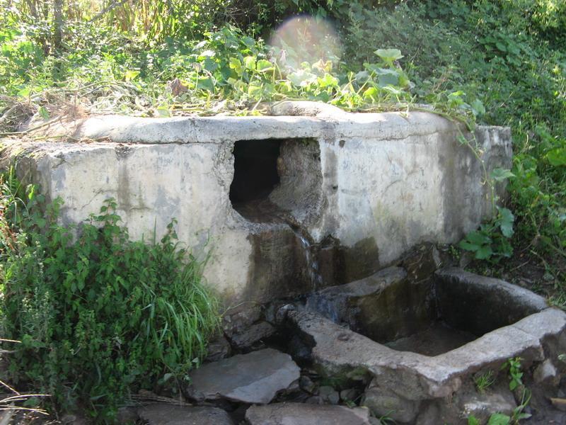 水井自然村(雲南省昆明東川區烏龍鎮水井自然村)