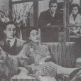 夜桃源 夜桃源