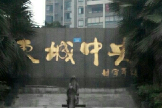 東城中央 東城中央