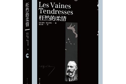 枉然的柔情 枉然的柔情