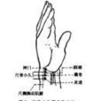 少沖穴 少沖穴