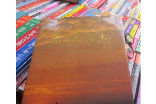 鹹陽市志 鹹陽市志