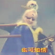 宇文天 宇文天