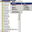 映像劫持IFEO 映像劫持IFEO