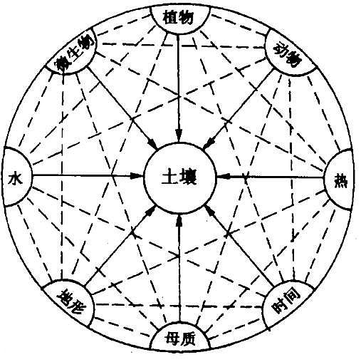 土壤生成 土壤生成