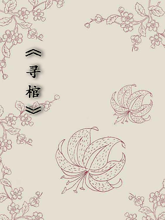 尋棺(三生化蟲創作的網路小說) 尋棺(三生化蟲創作的網路小說)