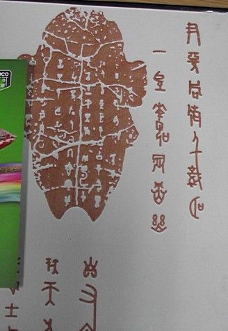 深圳市洛可可植絨液體壁紙漆
