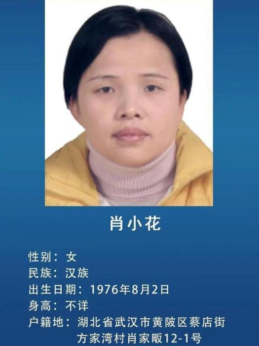 肖小花