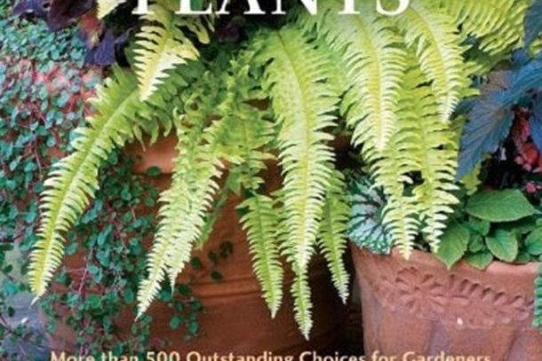 The Encyclopedia of Container Plants The Encyclopedia of Container Plants