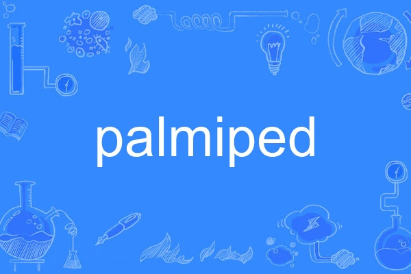 palmiped palmiped