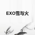 EXO雪與火