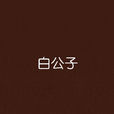 白公子 白公子