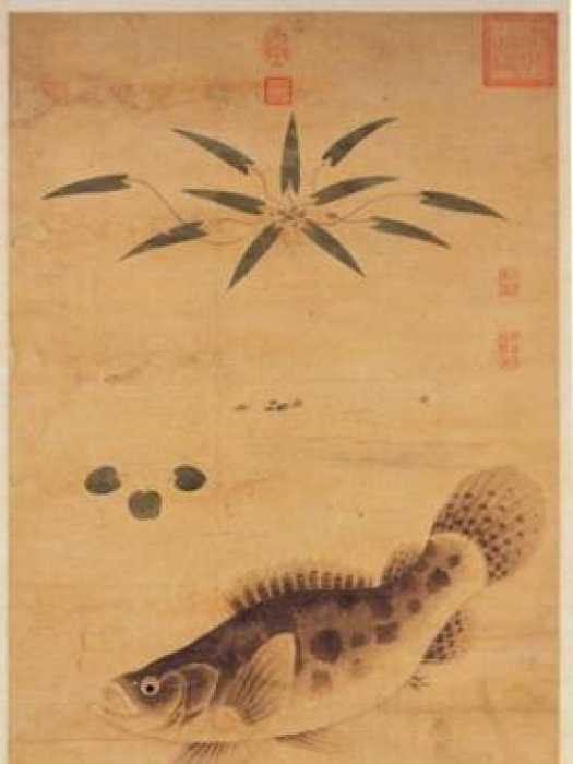 魚藻圖(台北故宮博物院收藏的元代繪畫) 魚藻圖(台北故宮博物院收藏的元代繪畫)