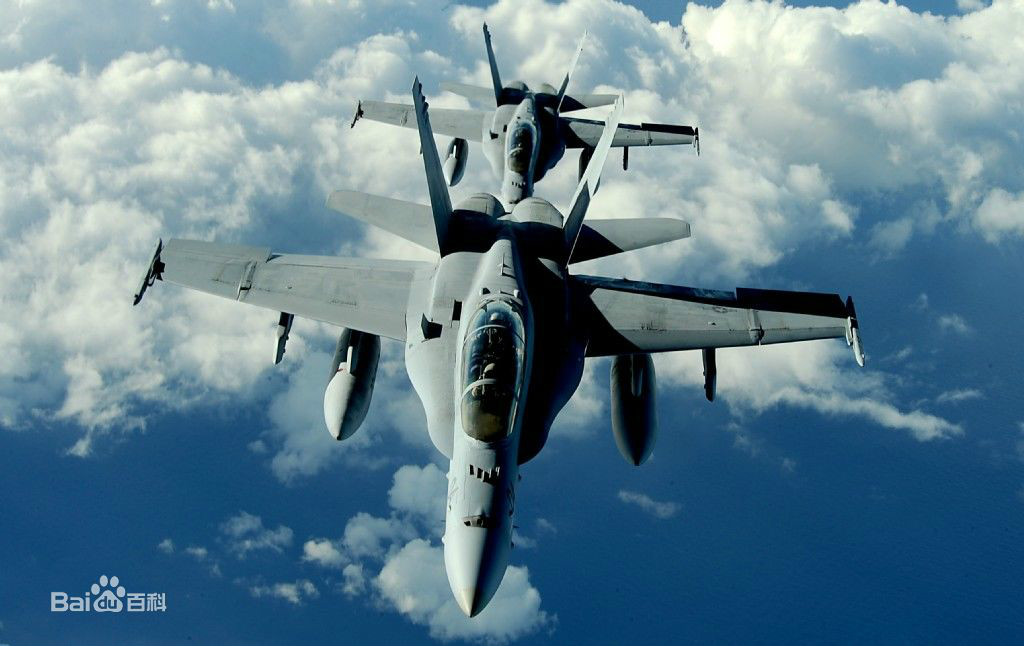 F/A-18戰鬥攻擊機(大黃蜂（美國雙發超音速艦載戰鬥機）)