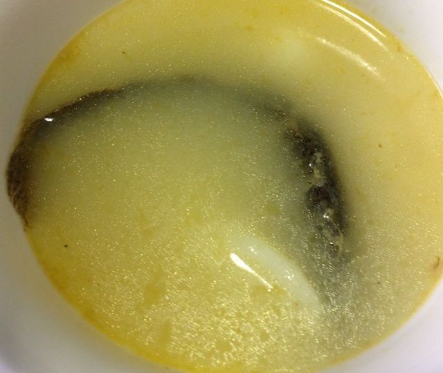 淮山泥鰍湯 淮山泥鰍湯
