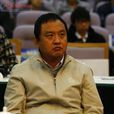 劉強(文化部文化市場司副司長) 劉強(文化部文化市場司副司長)