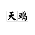 天雞 天雞