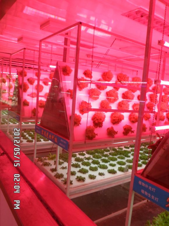 LED植物補光燈
